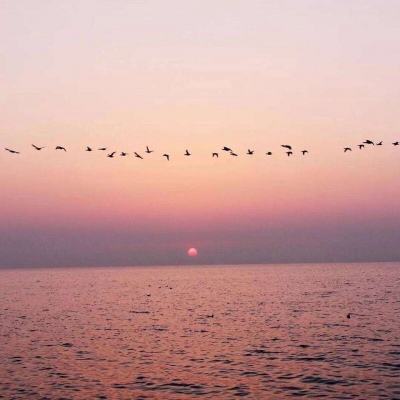 江南登录入口APP下载