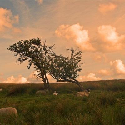 米乐下载地址app下载